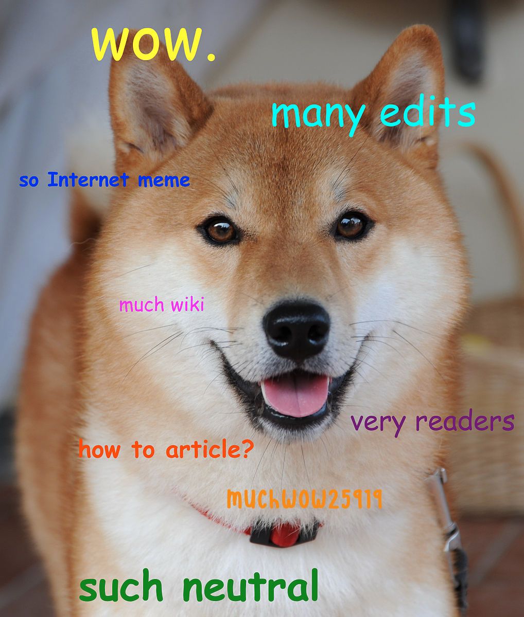 Doge_homemade_meme-1-