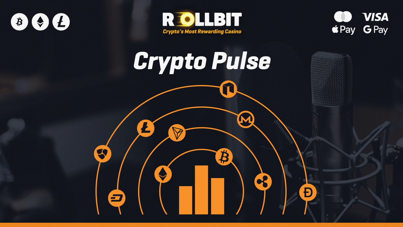 The Crypto Pulse October 19th